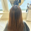 연주헤어 - 창원시 마산회원구 | 시흥 배곧미용실 에이바헤어 연주디자이너 모발클리닉 후기