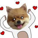 아우어패밀리 이미지