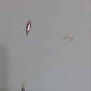 황산초지사계절바다낚시터 이미지