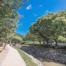 태조산 공원 이미지