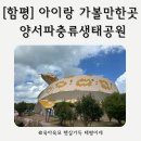 양서·파충류생태공원 아나콘다관 | [함평] 광주근교 실내 아이랑 가볼만한곳 양서파충류생태공원