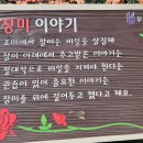 소먹방 Daum카페