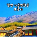 충렬오토바이 | 밀양 가볼만한곳 표충사 입장료 주차요금 부산 근교 경남 사찰 여행