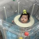 (주)아라칸 | 아기수영장 언제부터? 직접 써본 내돈내산 장단점 후기
