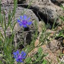 남생이못 이미지