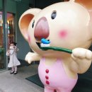 씨디씨어린이치과의원 이미지