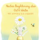 넥타