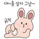 피어어피어
