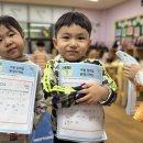 🤍배려반🤍4월 3주‘봄에 만나는 동물과 곤충&#39;(자유놀이,수놀이,인성,속담,드림,인형극,봄나물비빔밥,미술,게임,창의,원어민영어) 이미지