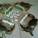 친구마작게임