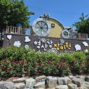 형산강 장미원 | 포항 가볼만한 곳 추천 형산강 장미원 꽃놀이 국내여행지 데이트코스 장미구경 방문후기