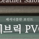 가죽살롱