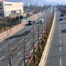 사하구 낙동남로 이미지