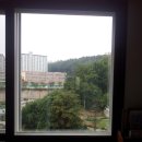 삼라마이다스 이미지