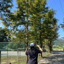 양촌랜드 이미지