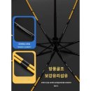 동우전자 이미지