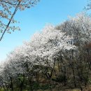 그레이당진 이미지