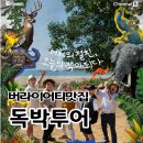 [끝까지 간다 독박투어] 3회 결말은? 디얄루마 폭포와 나인아치브릿지 후기(약스포)