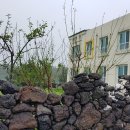 태풍민박 이미지