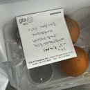7월(2) 난 여전히 사랑했던 것들을 사랑하고