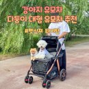 (주)타이탄 | 다둥이 강아지 유모차 고민 끝! 대형견도 거뜬한 펫신져 타이탄 사용후기