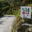 산내음 이미지