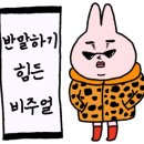 서대구뽈찜