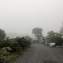 팜핑제주 | 제주도 캠핑장 카라반 가성비좋은 팜핑제주카라반