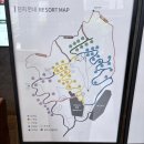 해브온 비 | 제천 리솜 포레스트 1박 2일 | G30 28형 숙소 해브나인 스파 후기