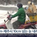 수신닭발 이미지