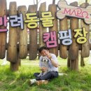 행복하개 이미지