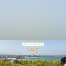 유채꽃직구