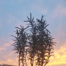 하늘농약사 이미지