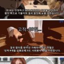 한우밭 네이버블로그
