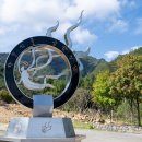 금산인삼 이미지