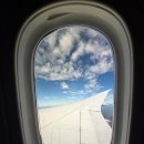 튜나퀸 | 🇦🇺호주 여행 일기 (1)