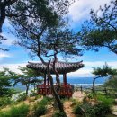 지리산너머 | 경남 산청 여행 정취암 산 너머 산이요