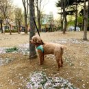 최재호 한방동물병원 이미지