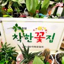 완주꽃배달써비스 이미지