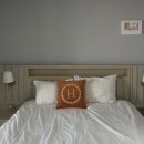 호야애견 | 여수여행 숙소 추천 | 여수 가성비 호텔 애견동반 가능한 호야 스테이 솔직후기 🏠