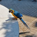 문화의거리 이미지