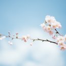 게스트하우스코리아 부산역 이미지