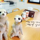 제쥬엔