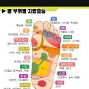 척산족욕공원 이미지