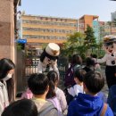 푸른초교 이미지