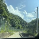 시기공추 | 대전근교 진천풀빌라 시기공추 8월 방문후기, 미온수미추가