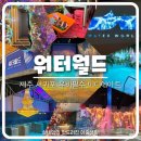 [제주 놀거리] 내돈내산 서귀포 가볼만한곳 미디어아트 우비필수_워터월드