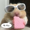 부평대로64번길 이미지