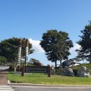 양서·파충류생태공원 아나콘다관 이미지