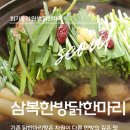 삼복한방닭한마리 | [회기] 보양식의 정석 경희대 근처 닭한마리, 능이버섯이 가득 들어간 닭한마리 '삼복 한방 닭한마리'